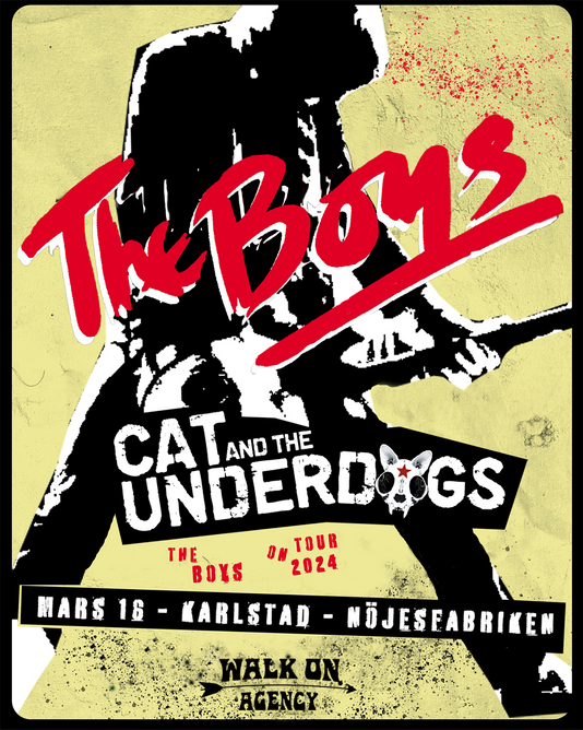 The Boys vs. Cat and the Underdogs